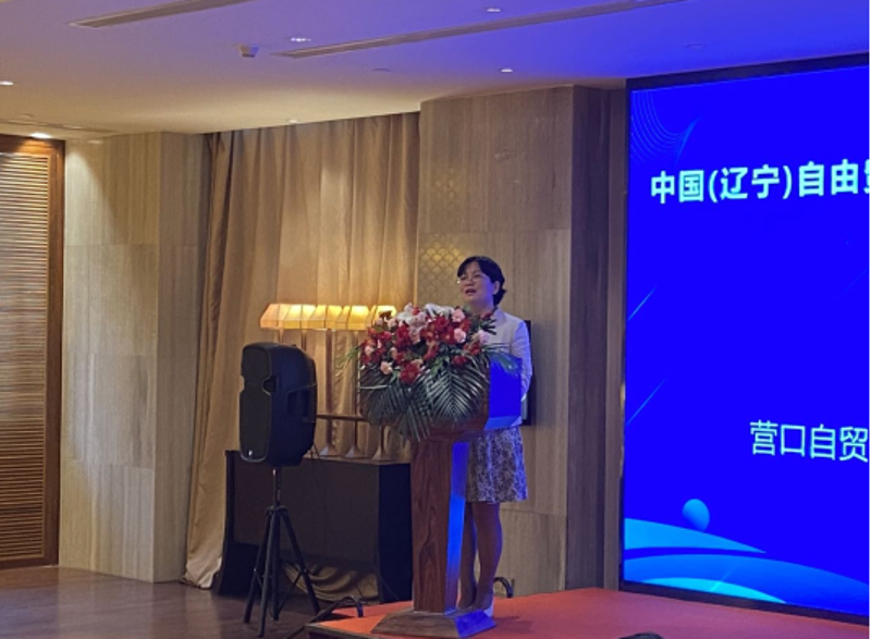镁质耐火砖：工业炉窑中的“守护神”